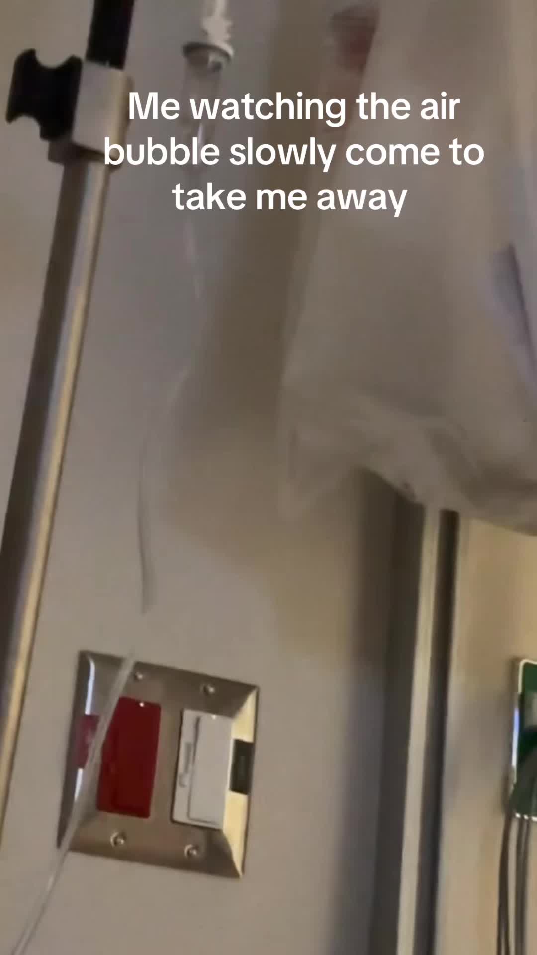 @bear0908