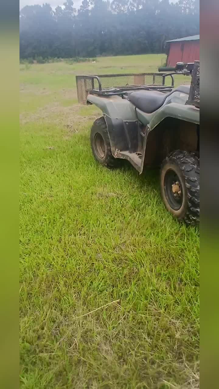 @🦆🍻swamp_that_350🦆🍻