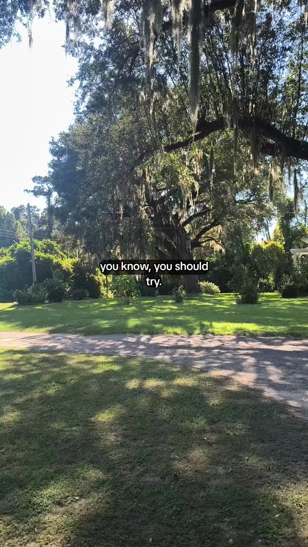 @TMAC❌️ tammymcconnell76