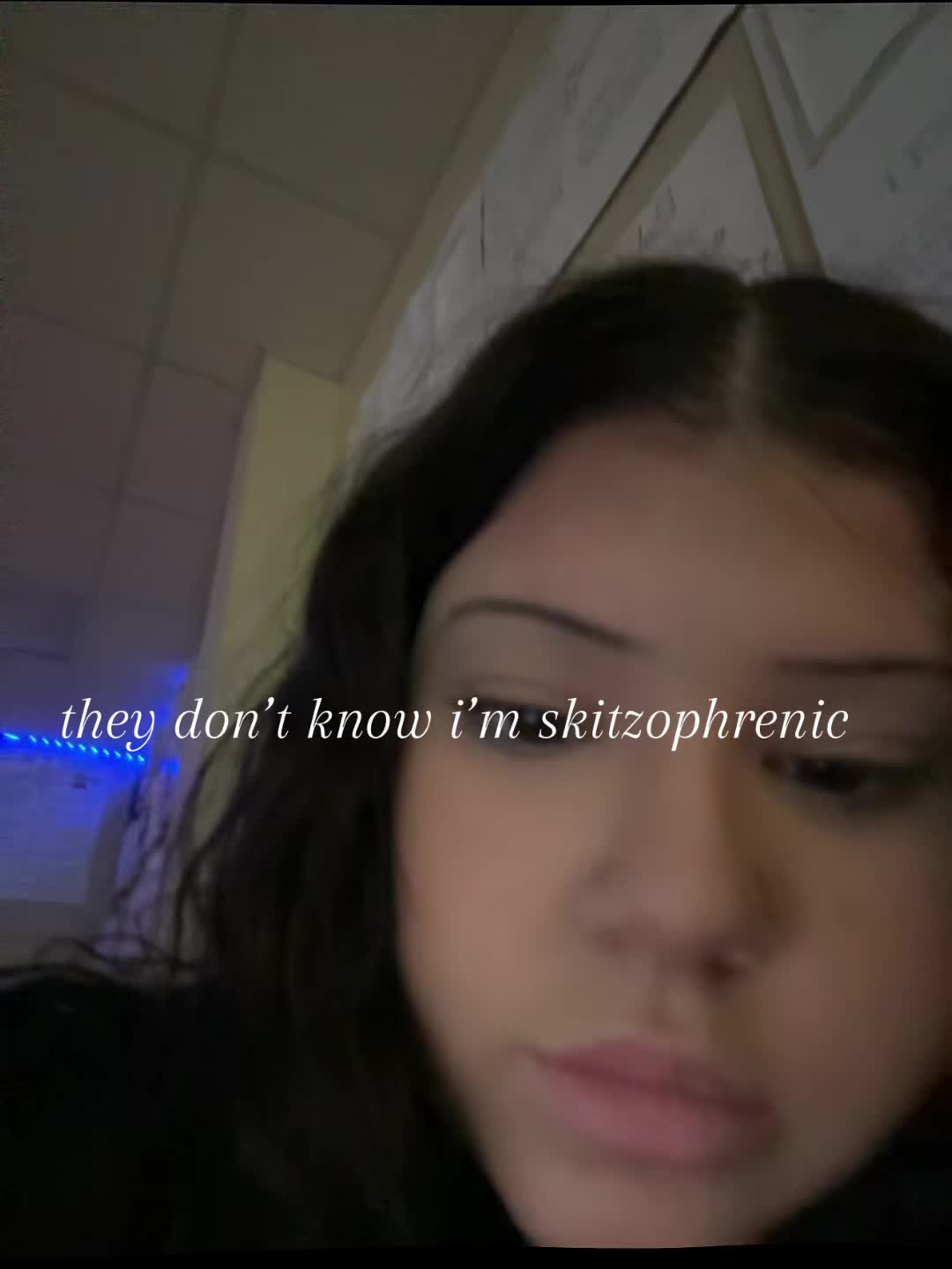 @stella