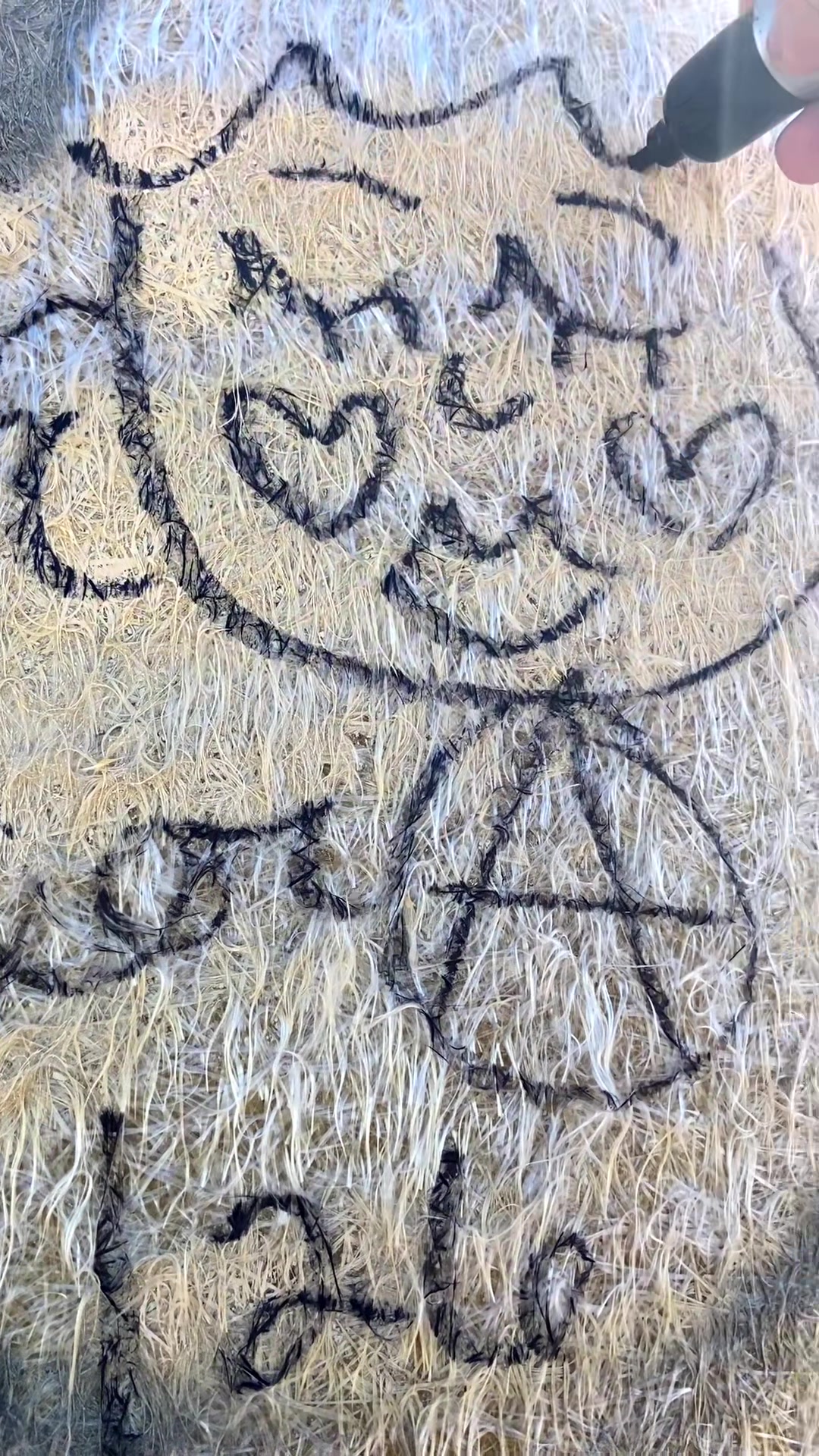 @Sailor Anarcho