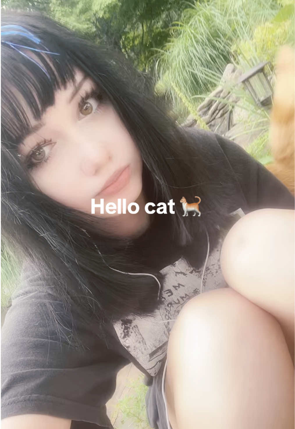 @meower