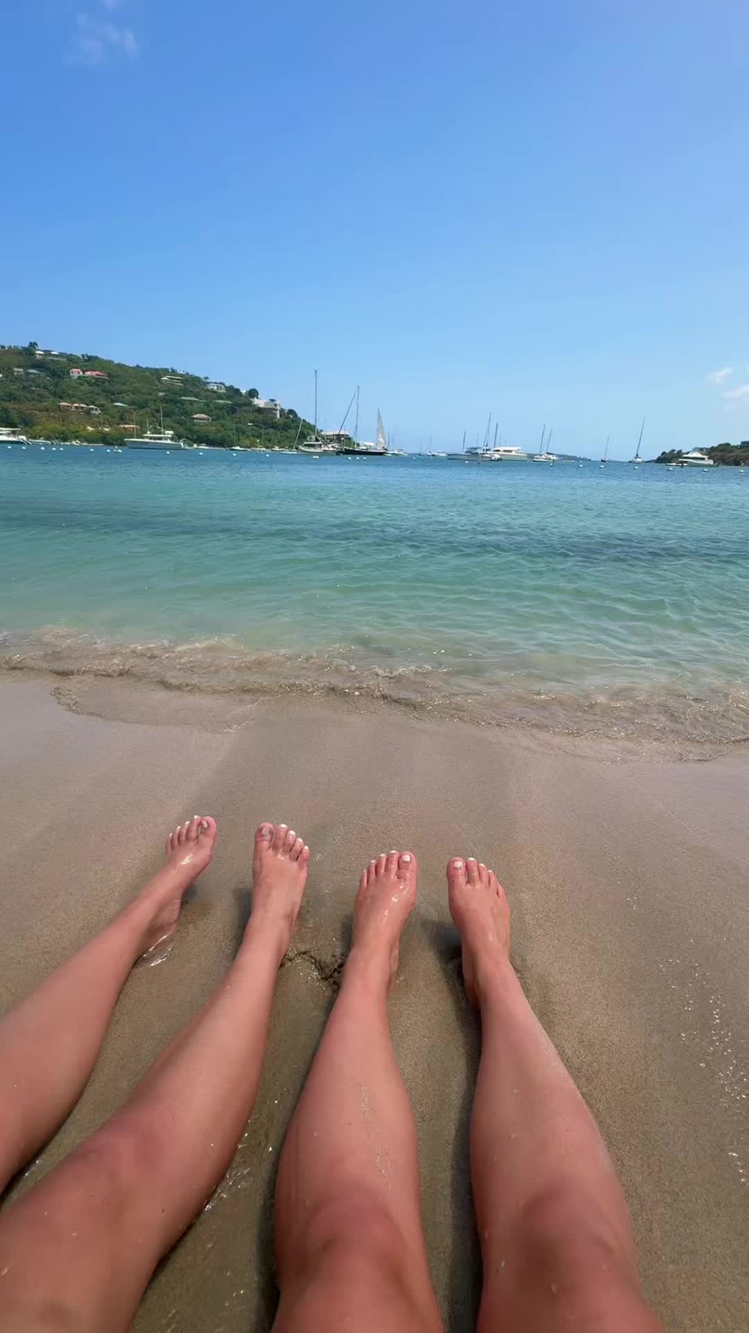 @Abby 🦎🫐🪸