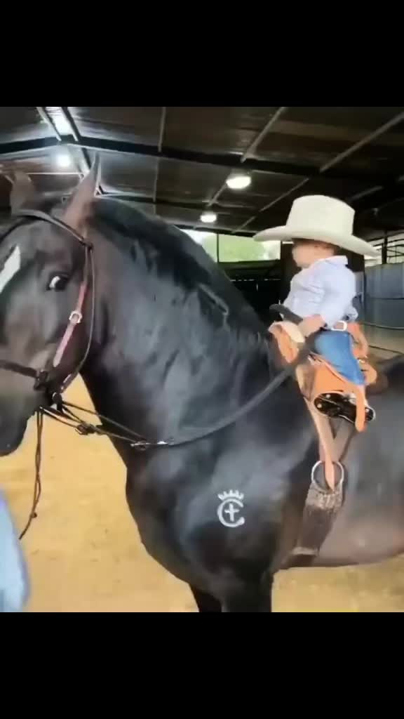 @Caballostrochadores