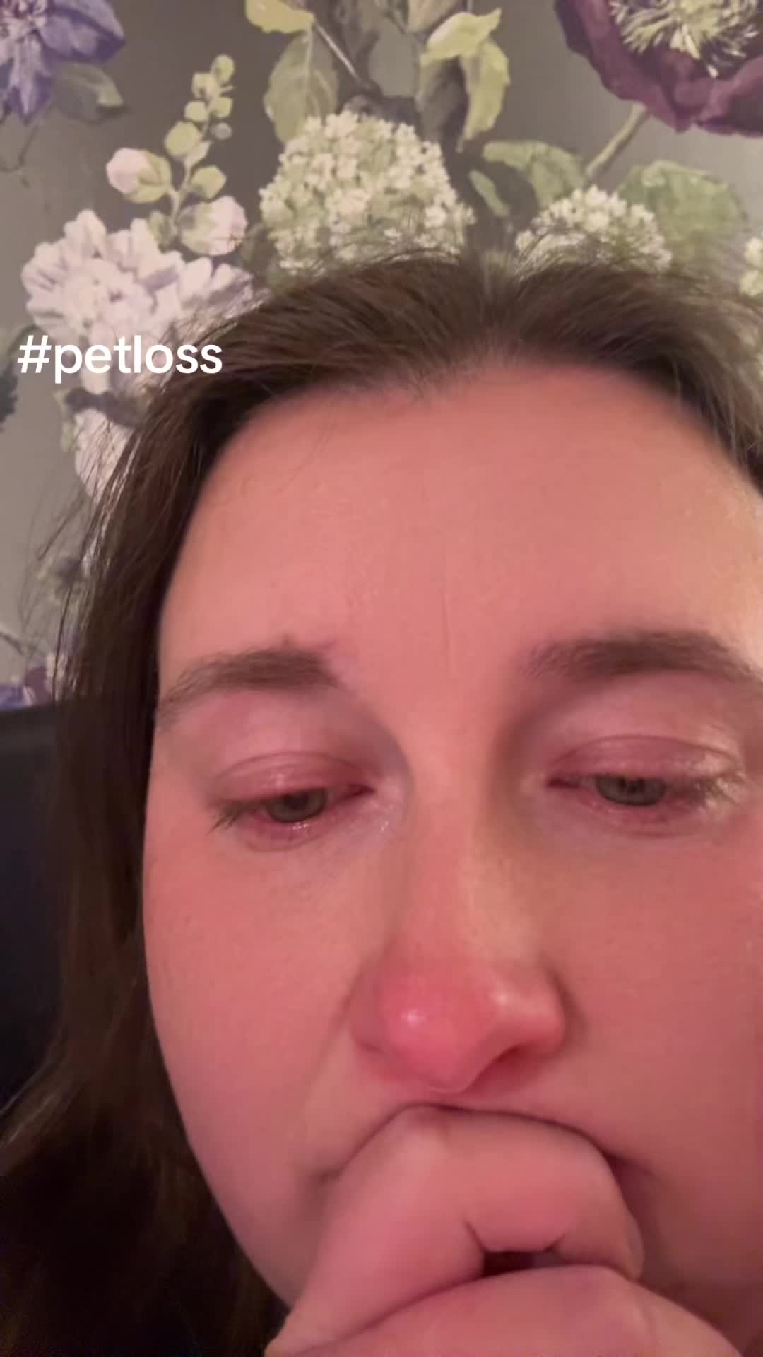 @SHERRALEE|PETLOSS|MENTALHEALTH