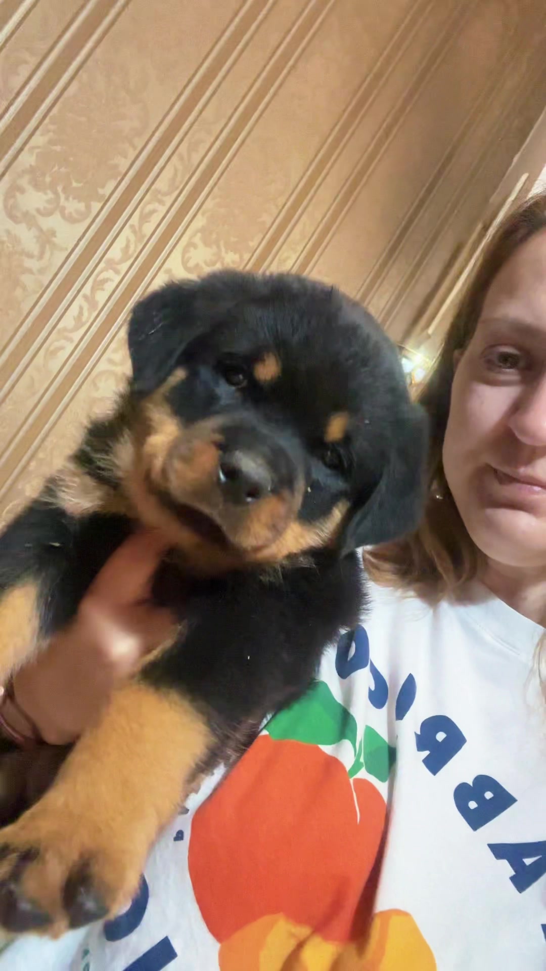 @🇱🇻Kennel HOFZUMBERG🇱🇻