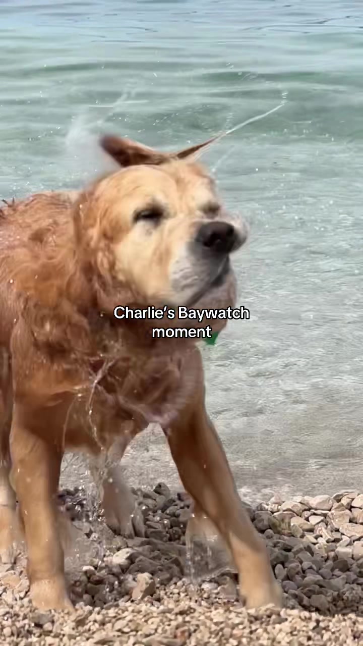 @Charlie and friends
