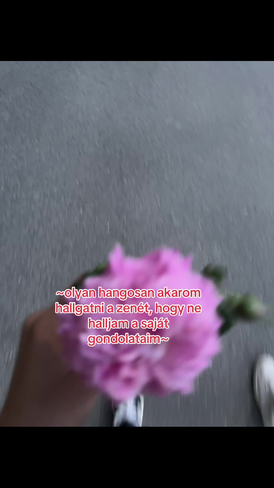 @🦋~•𝒱𝒾𝓇𝒶́𝓰•~🦋