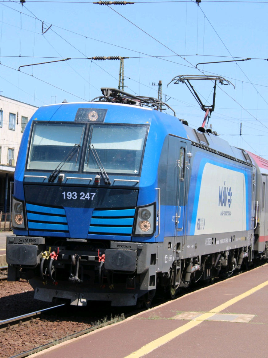 @🚂 Dominik 🚃