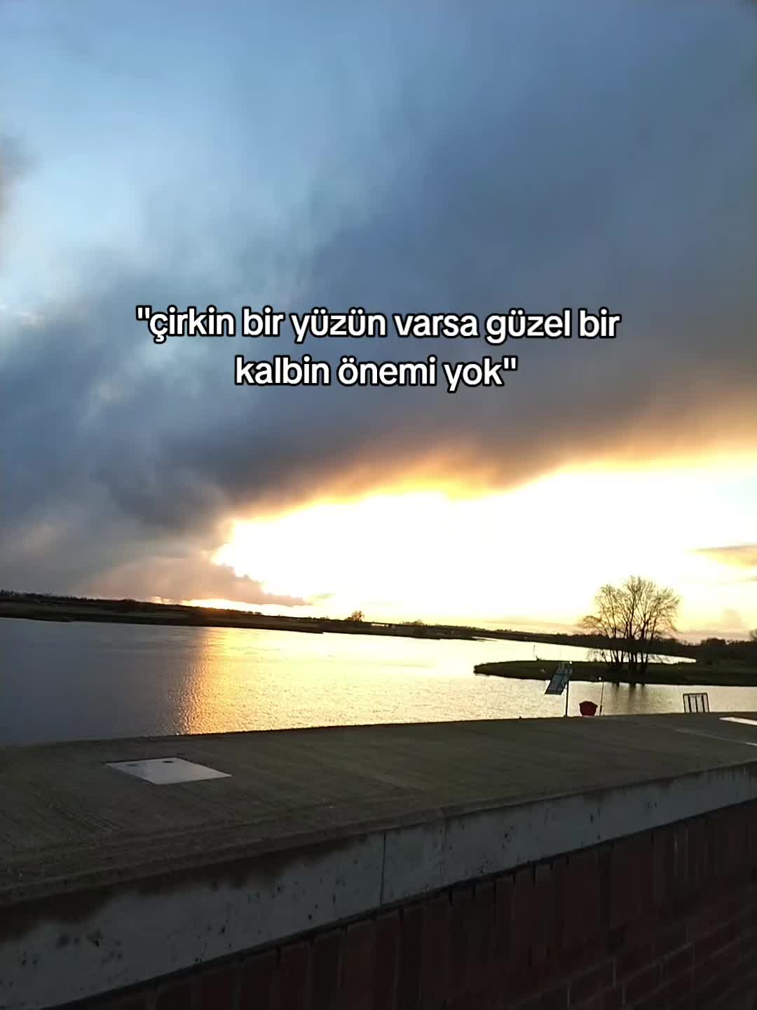 @Miran
