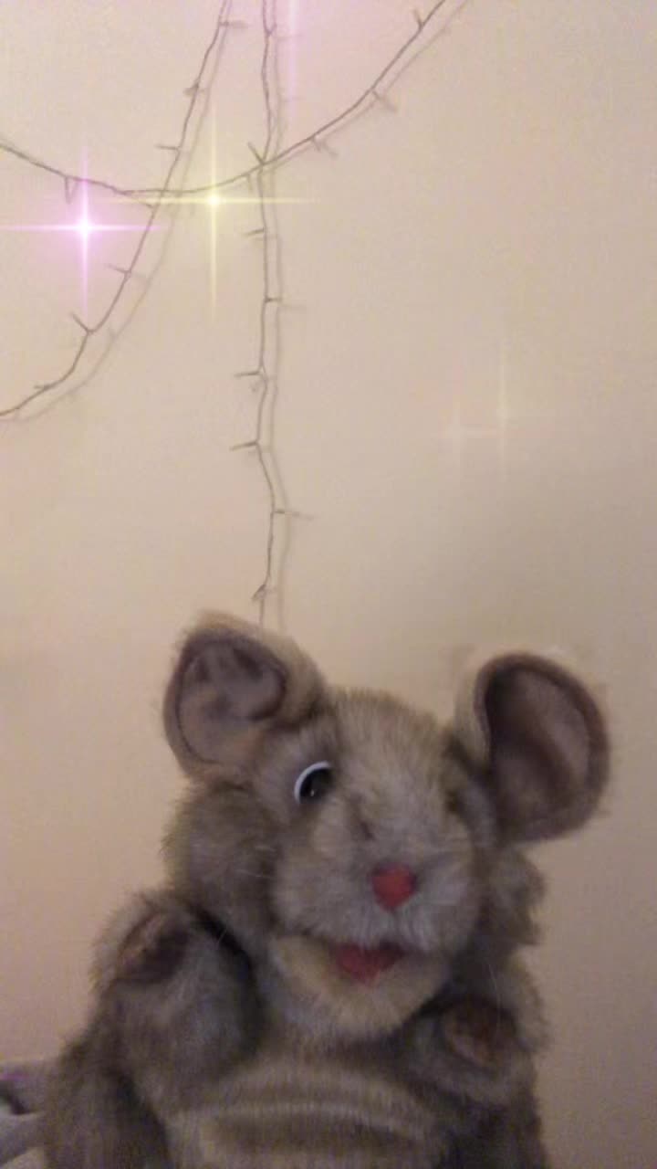 @mozzythemouse