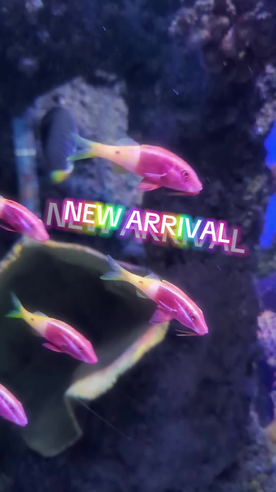 @BristolAquarium