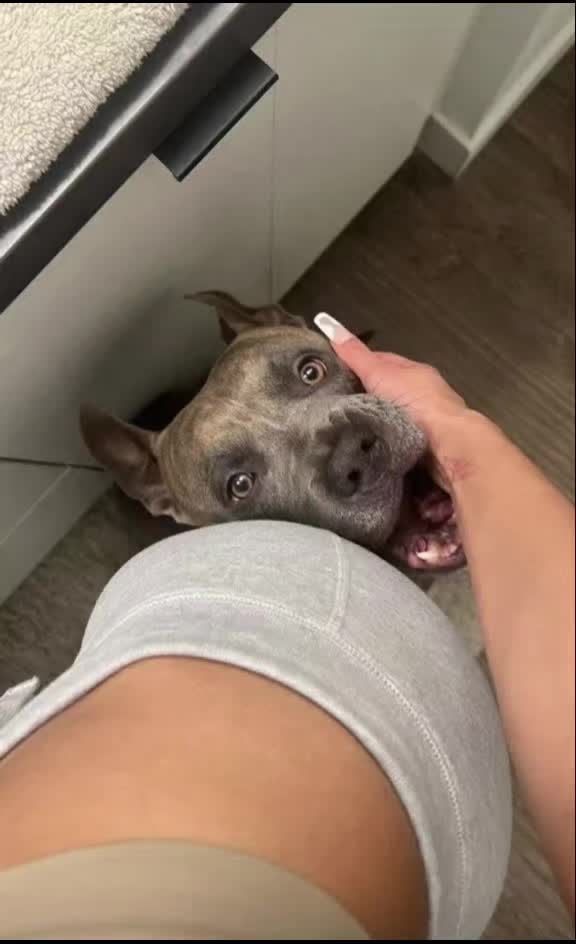 @CATTY CRAZY ASS