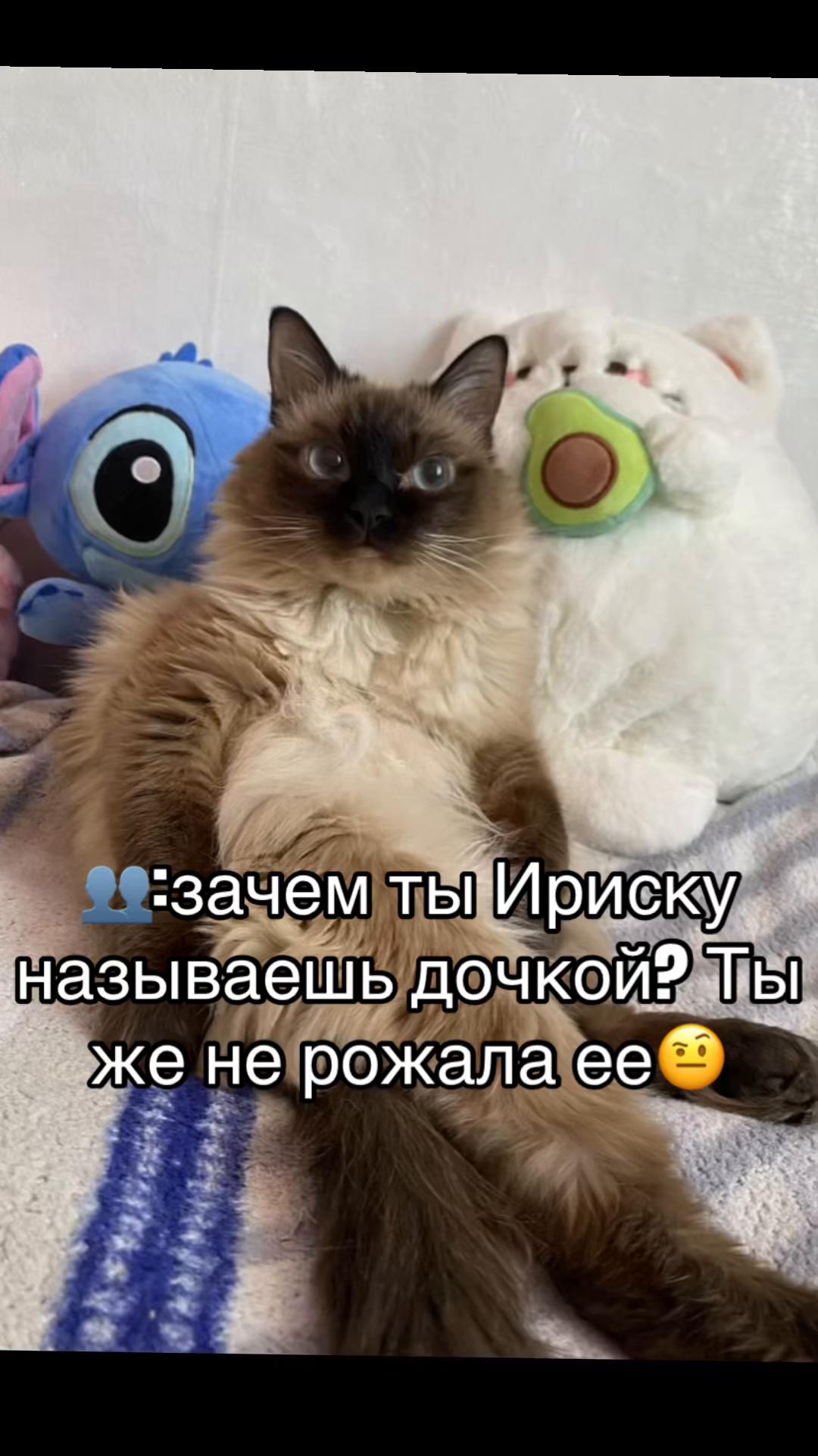 @Маргошка