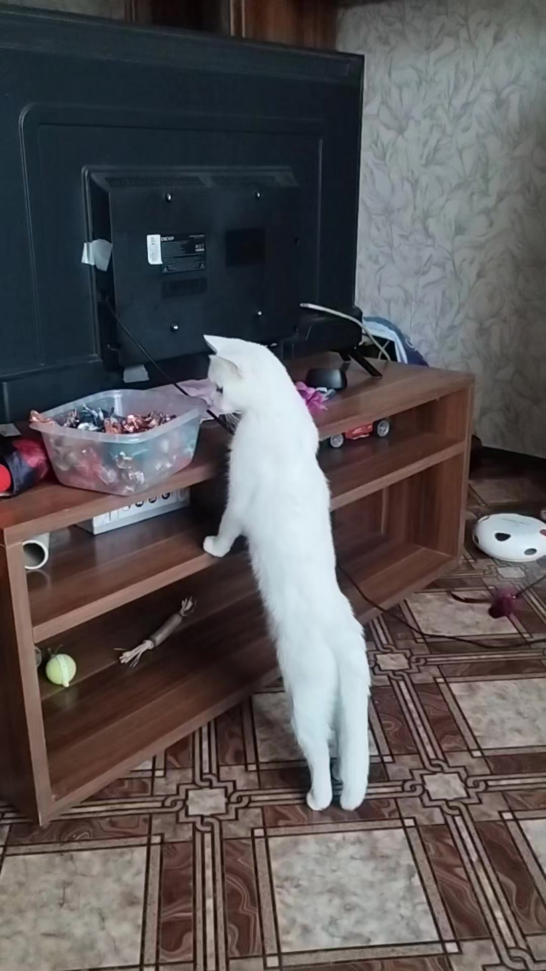 @Z КУZБАСС РУЛИТ Z