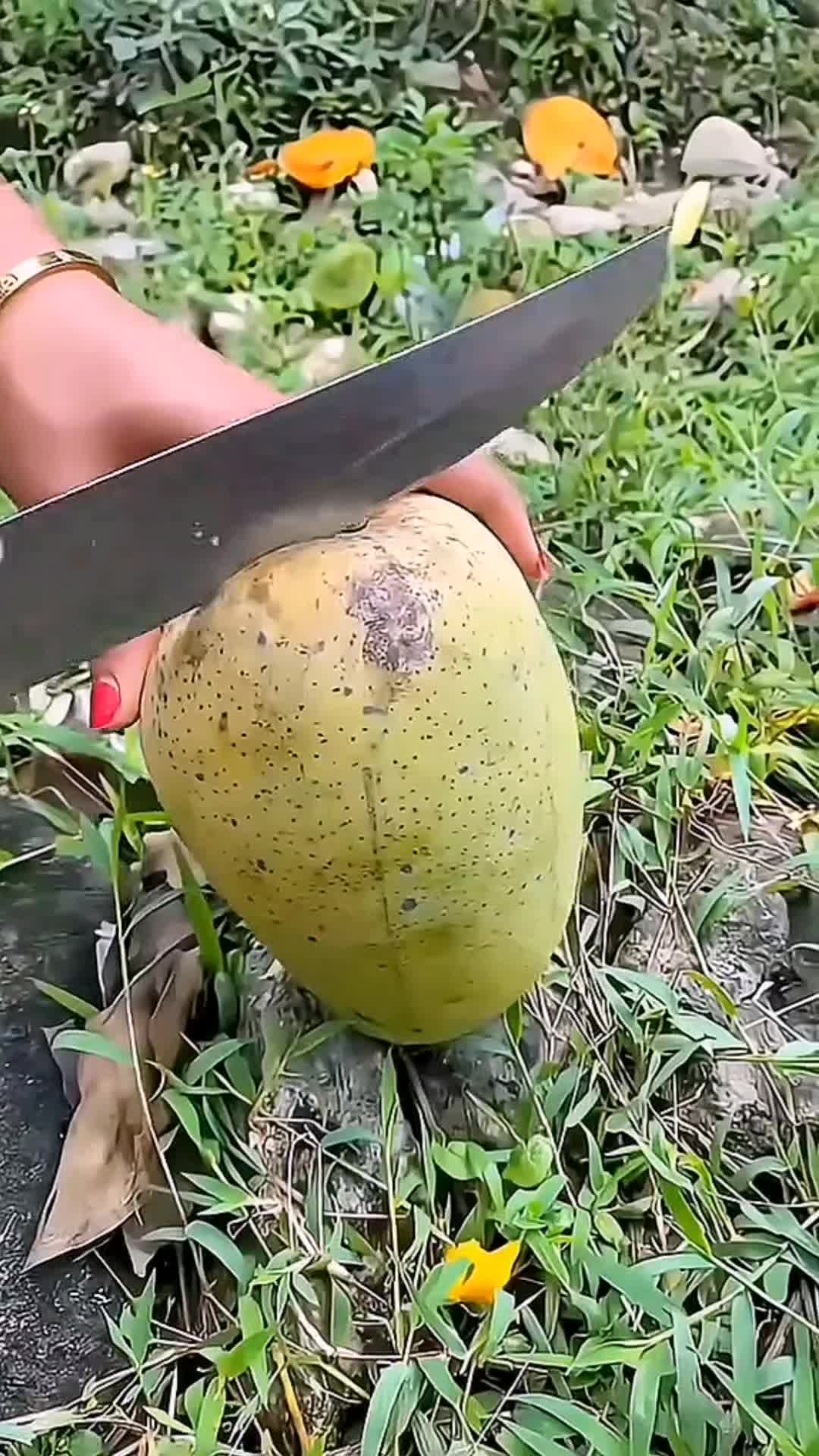@SatisfyCut