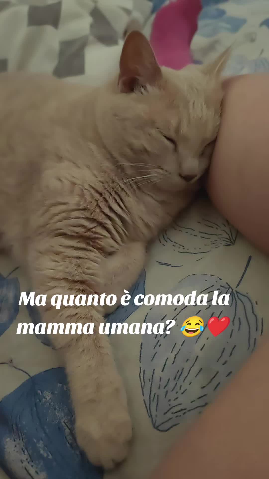 @esterbongi