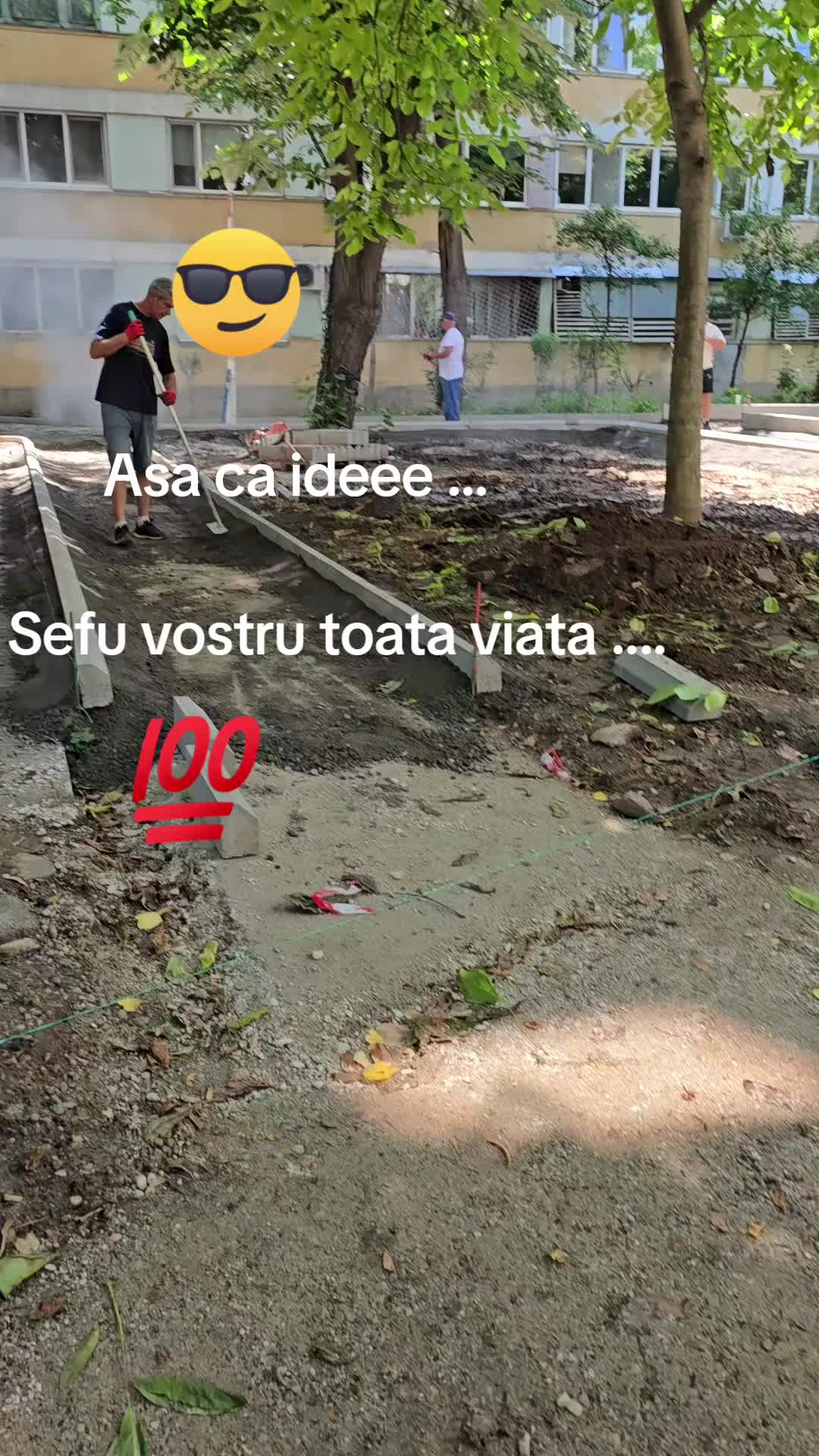 @FLORIN SUT