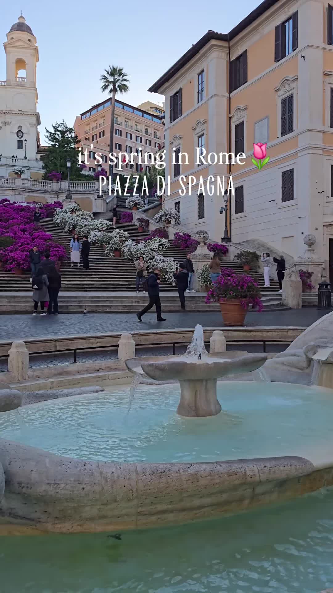 @mia.cara.italia🇮🇹