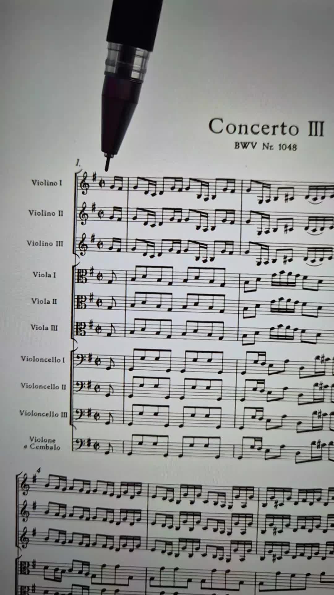 @KiaraSound