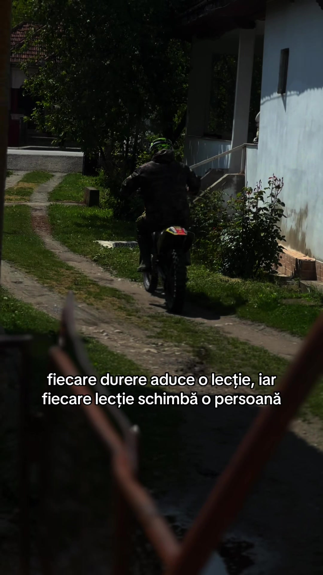 @Ionela