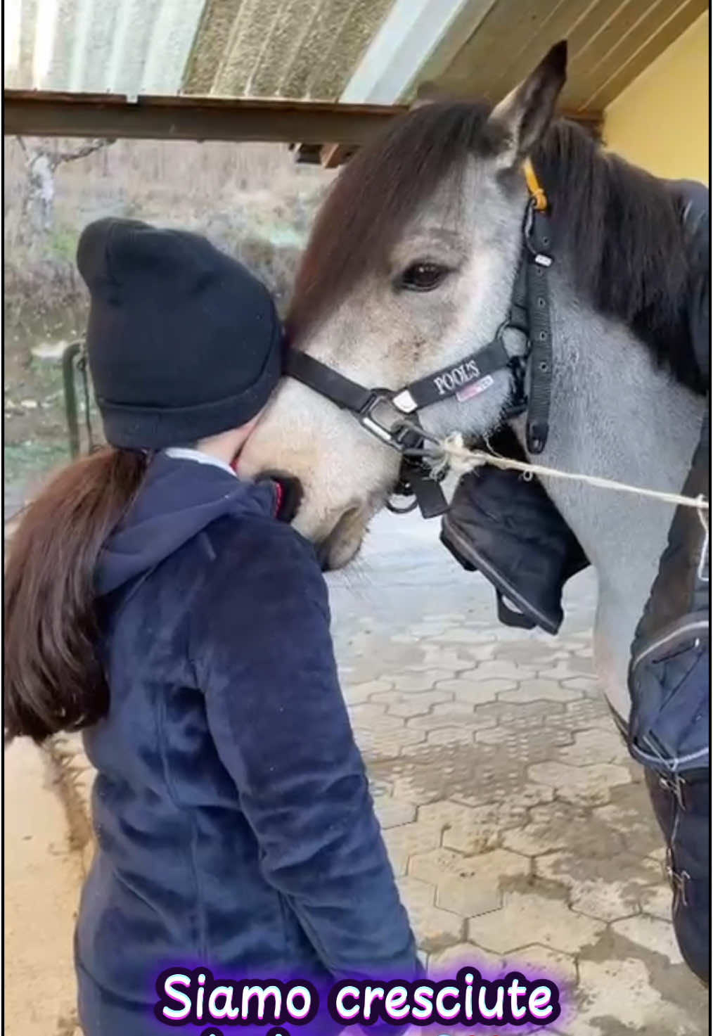 @м&iota;&alpha; 🐴💛