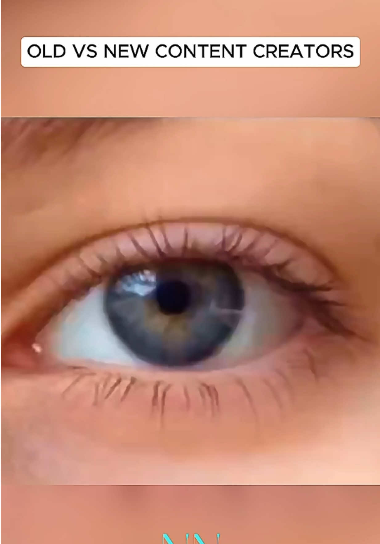 @NicheNovaNostalgia