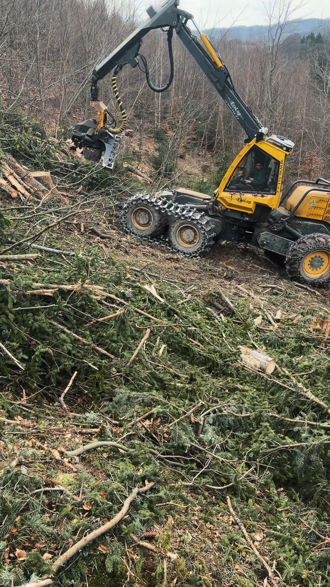 @🌲🌲Prosťě Fidla🤷♂️🤷♂️🌲🌲