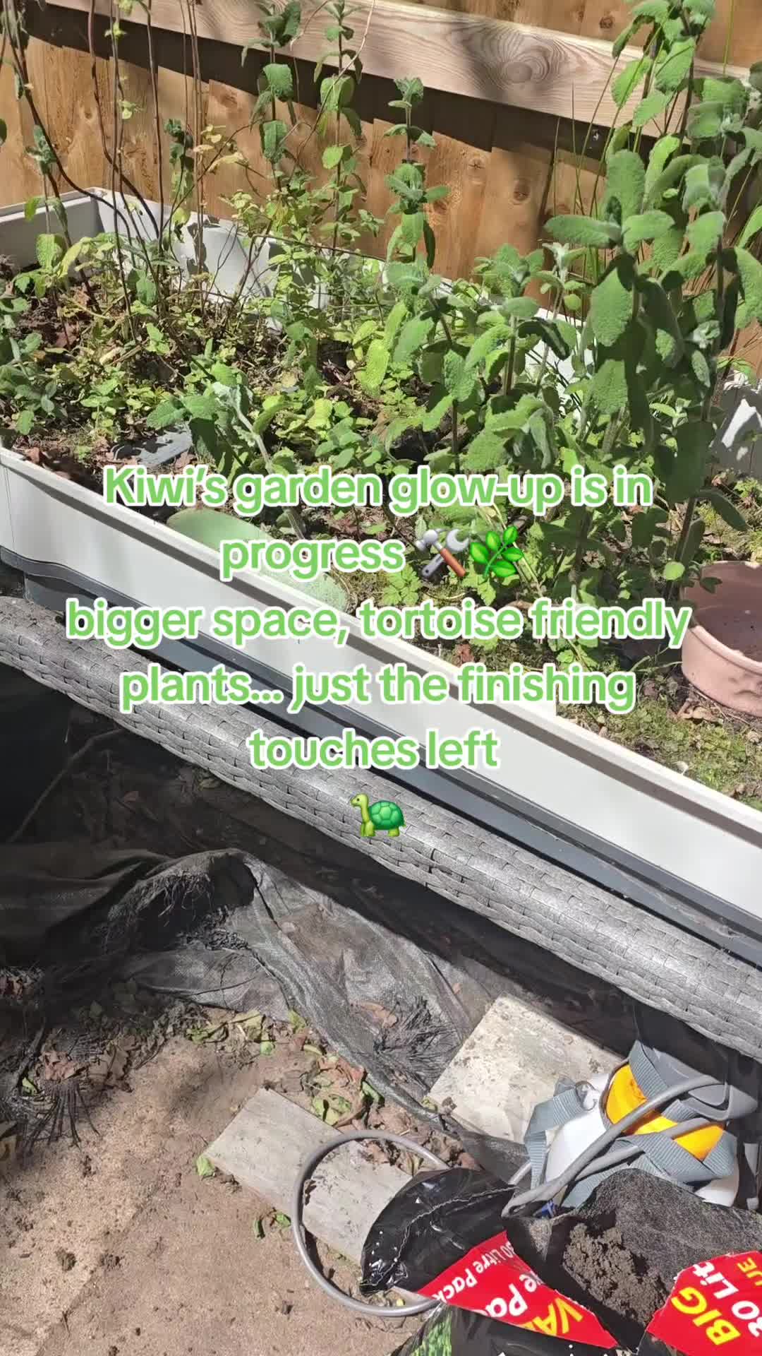 @mybullysandme🐶🇬🇧 (kelly)