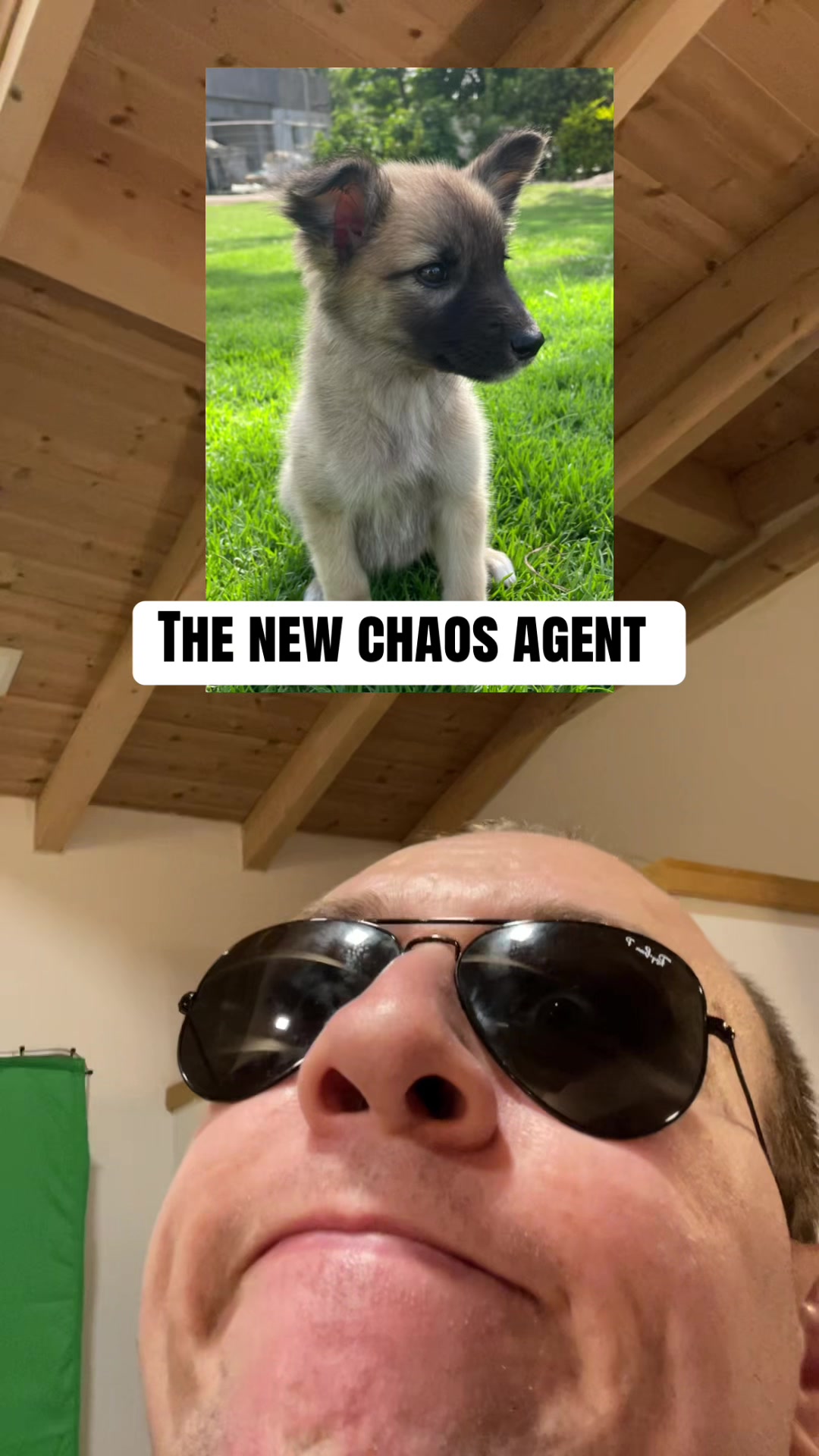 @Fenrir