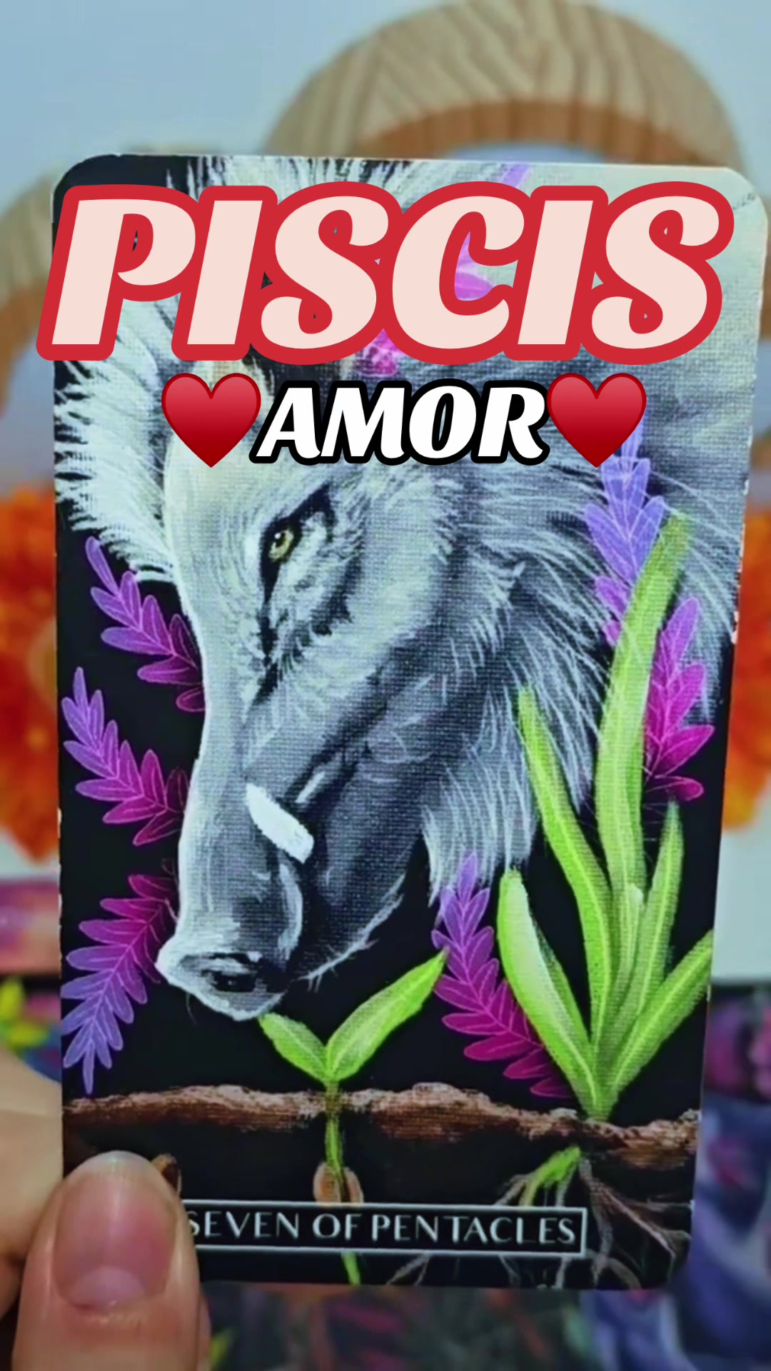 @Daniela Tarot