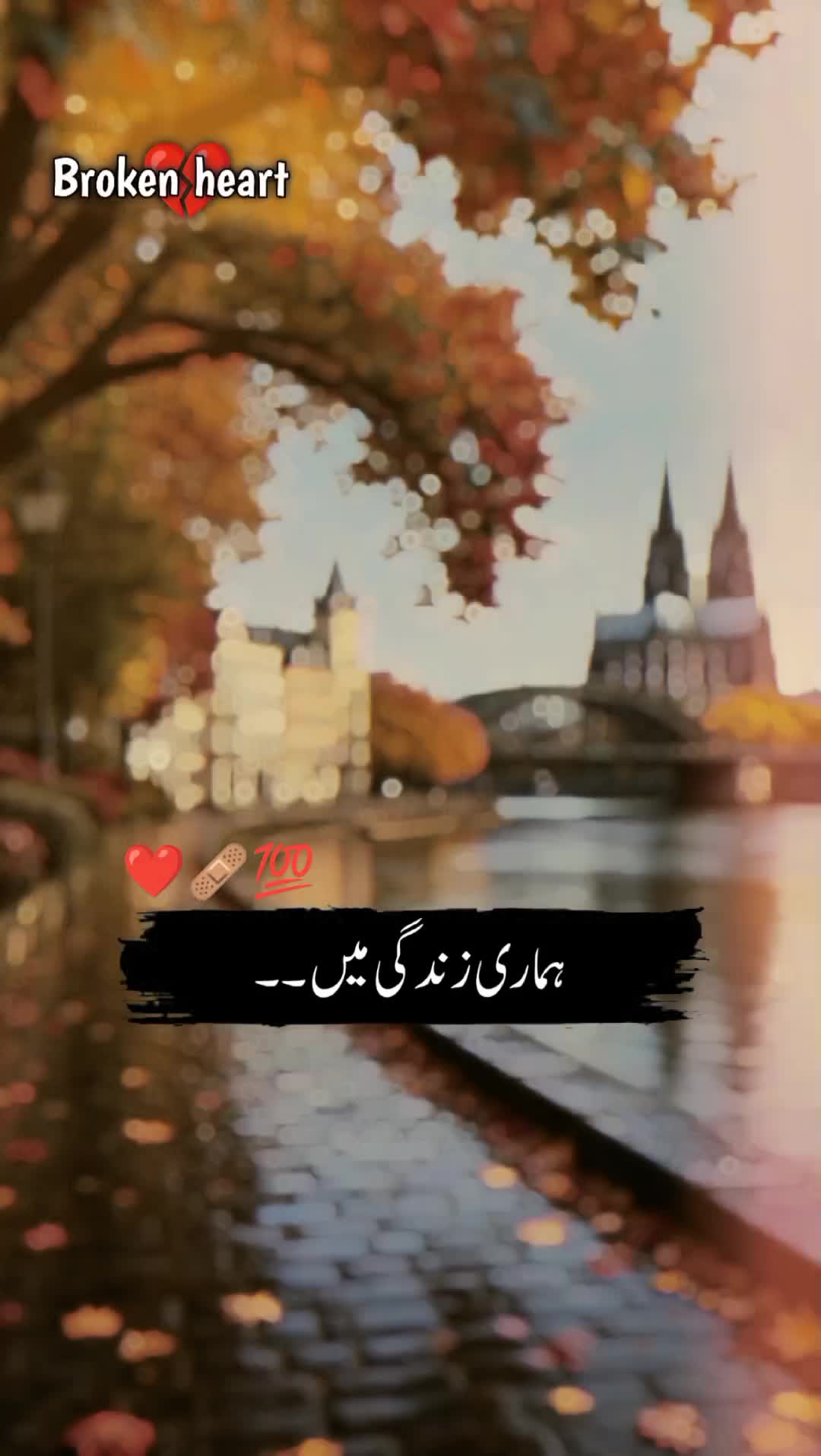@🍂سرورِ عشق🫀