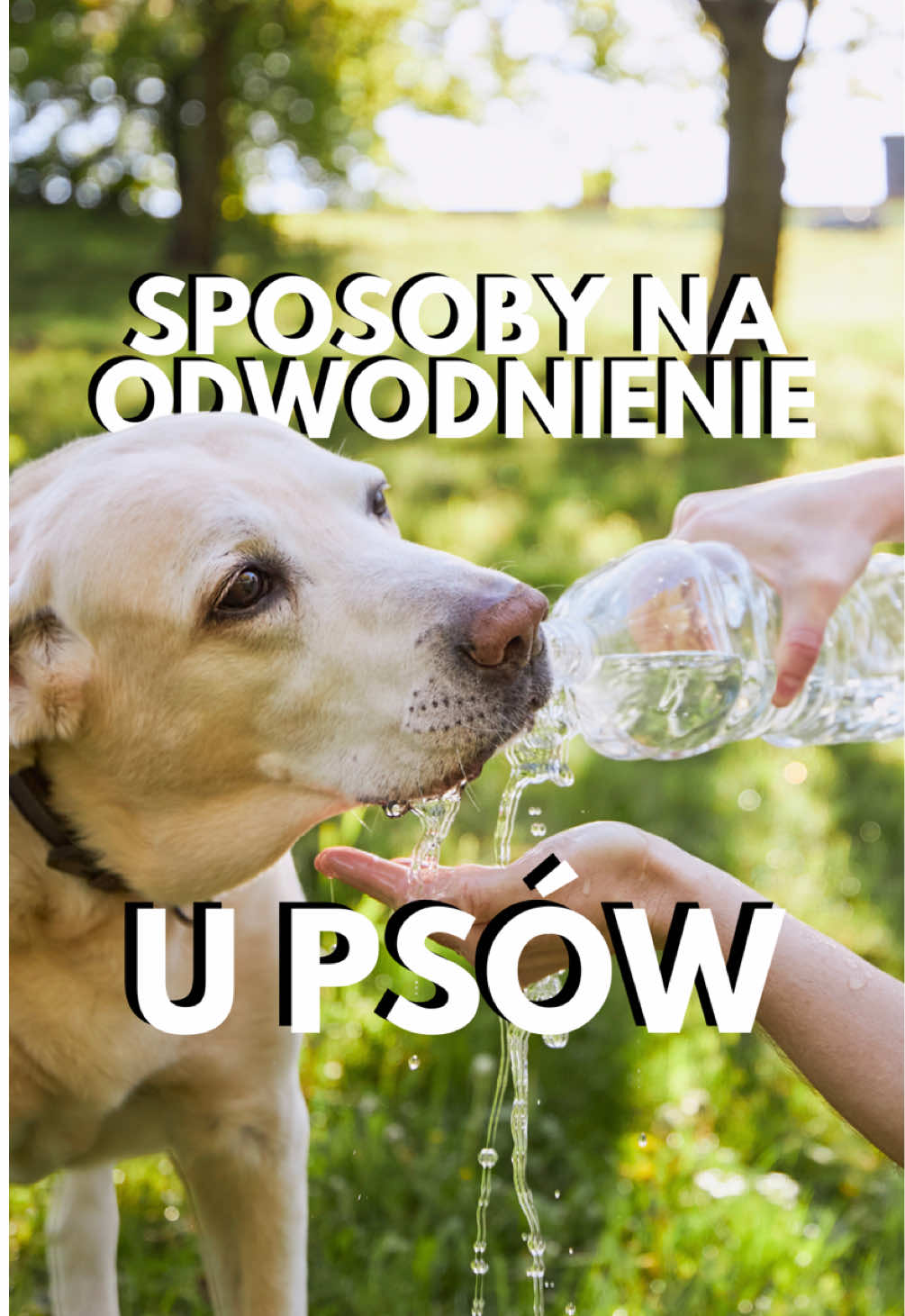 @Oliwia Kita