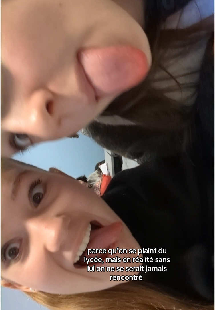 @loulou