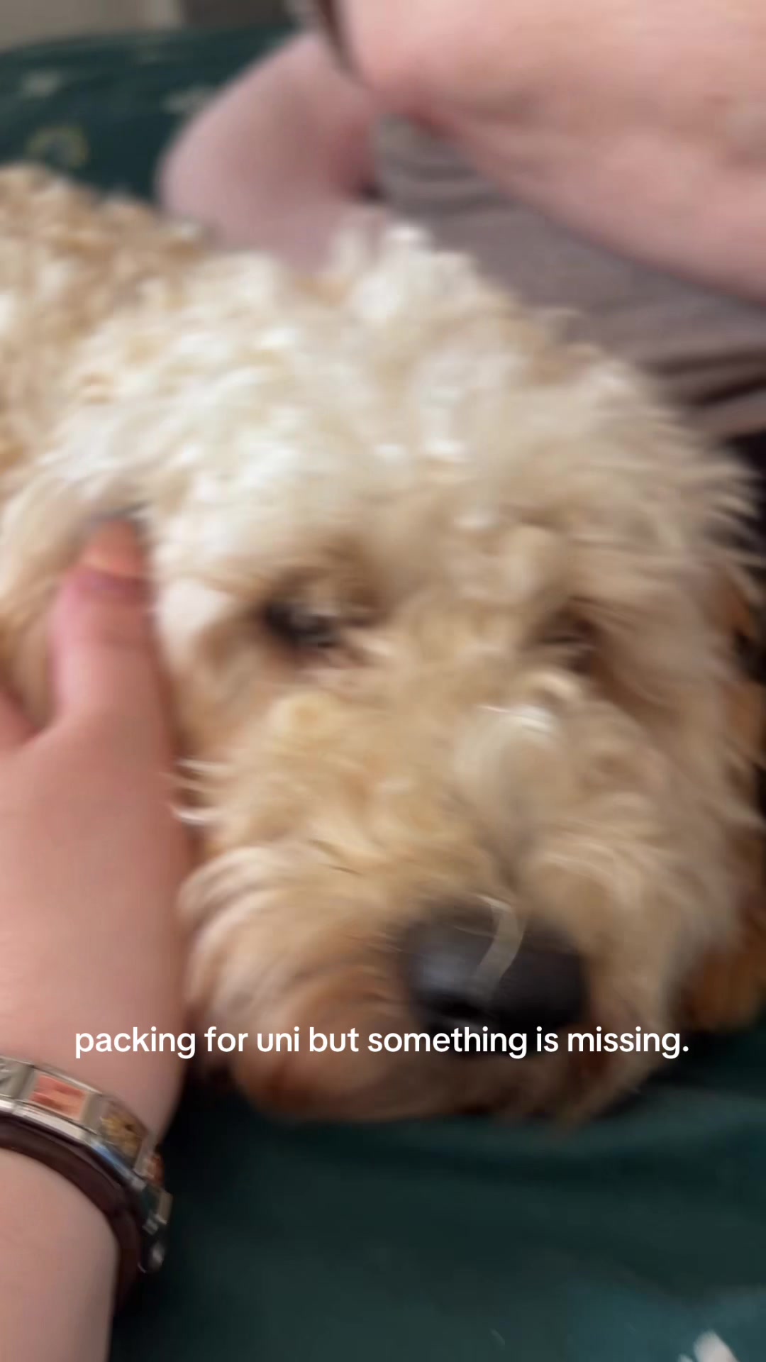 @lucie.