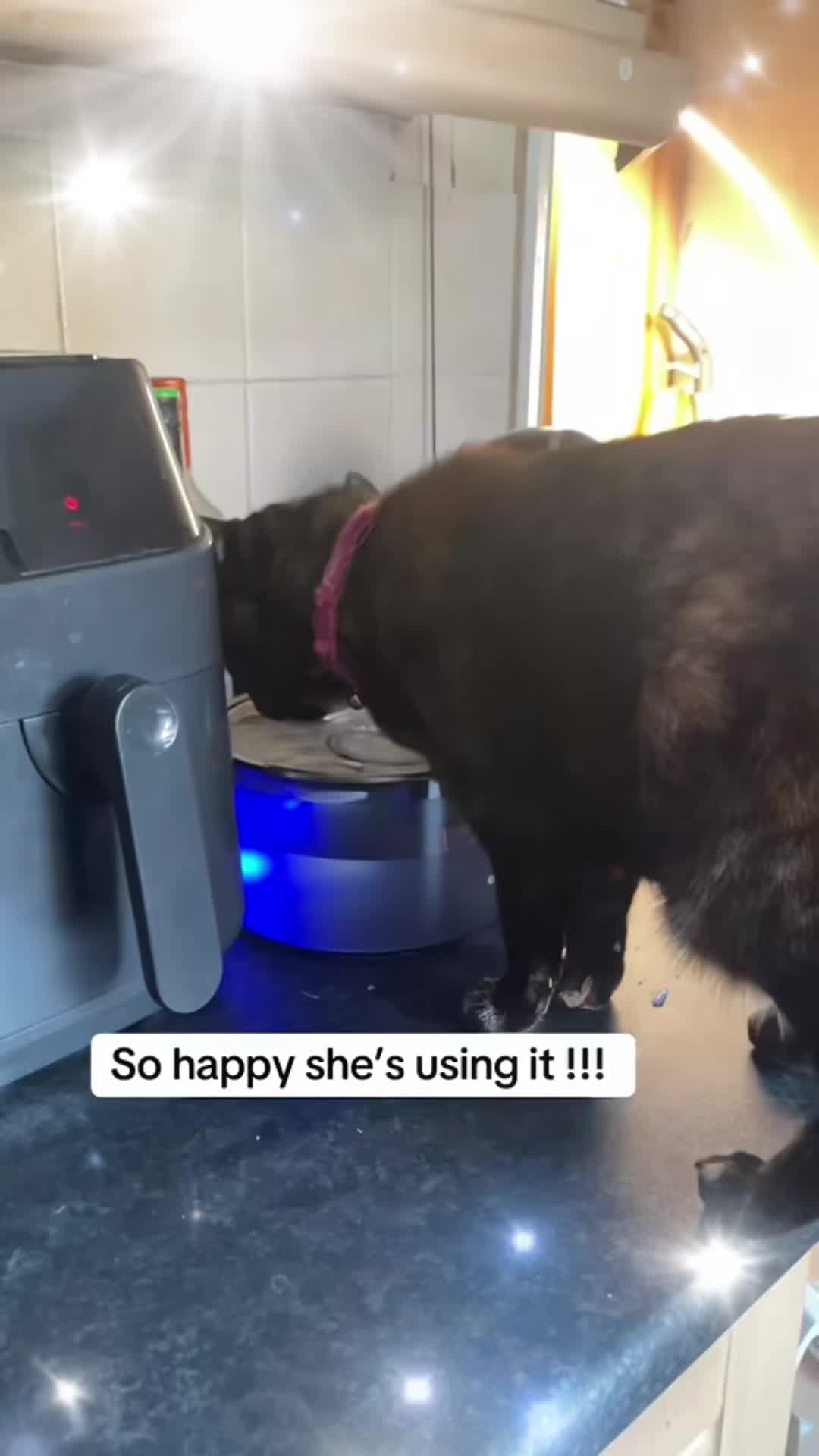 @Awesomepawsome2017