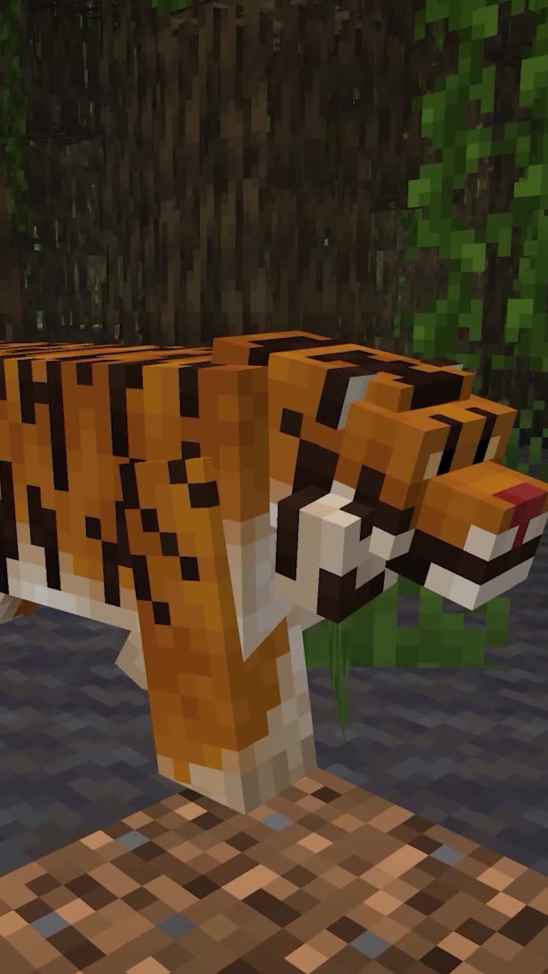 @CompyCraft