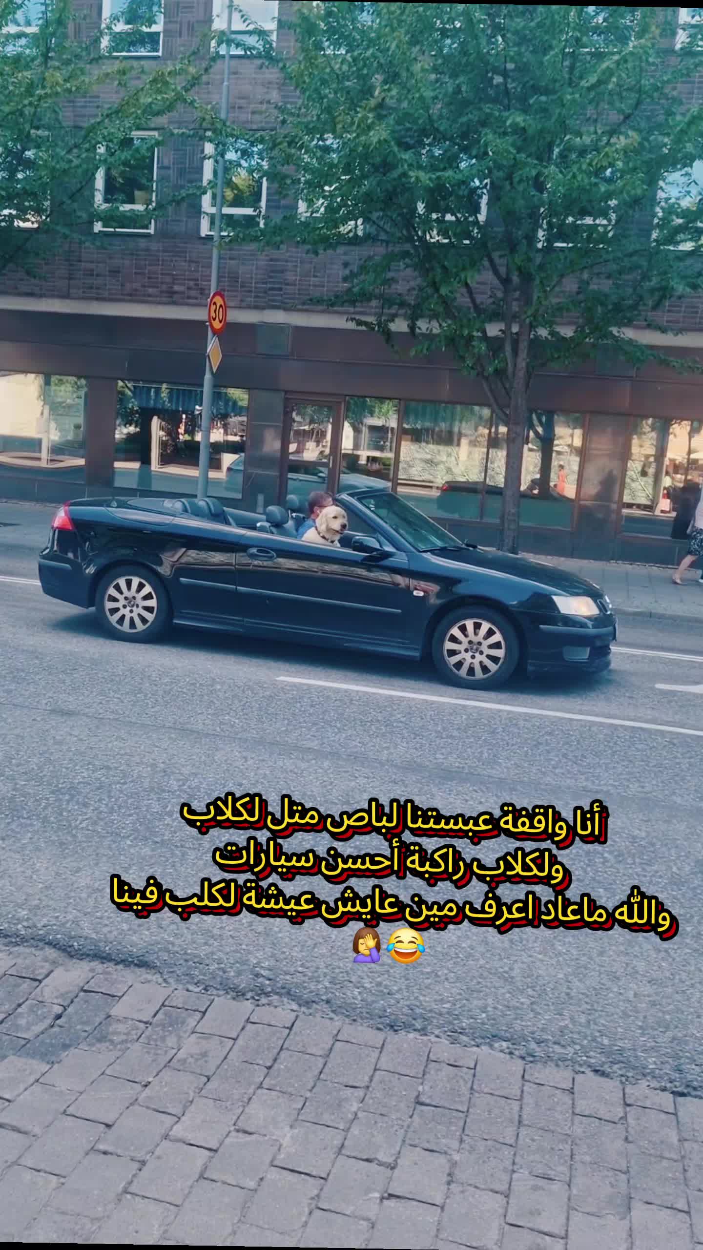 @ʚYaroshɞ