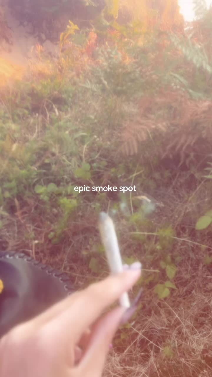 @𐙚 gray ‧₊˚ ⋅