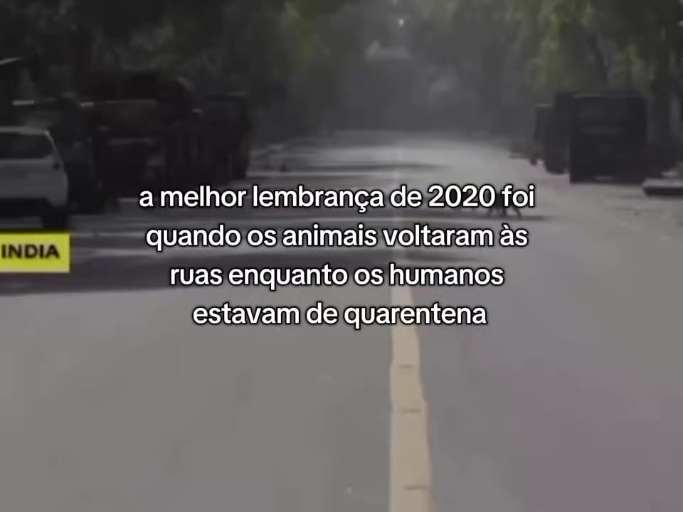@Niquinho 🤏🏻