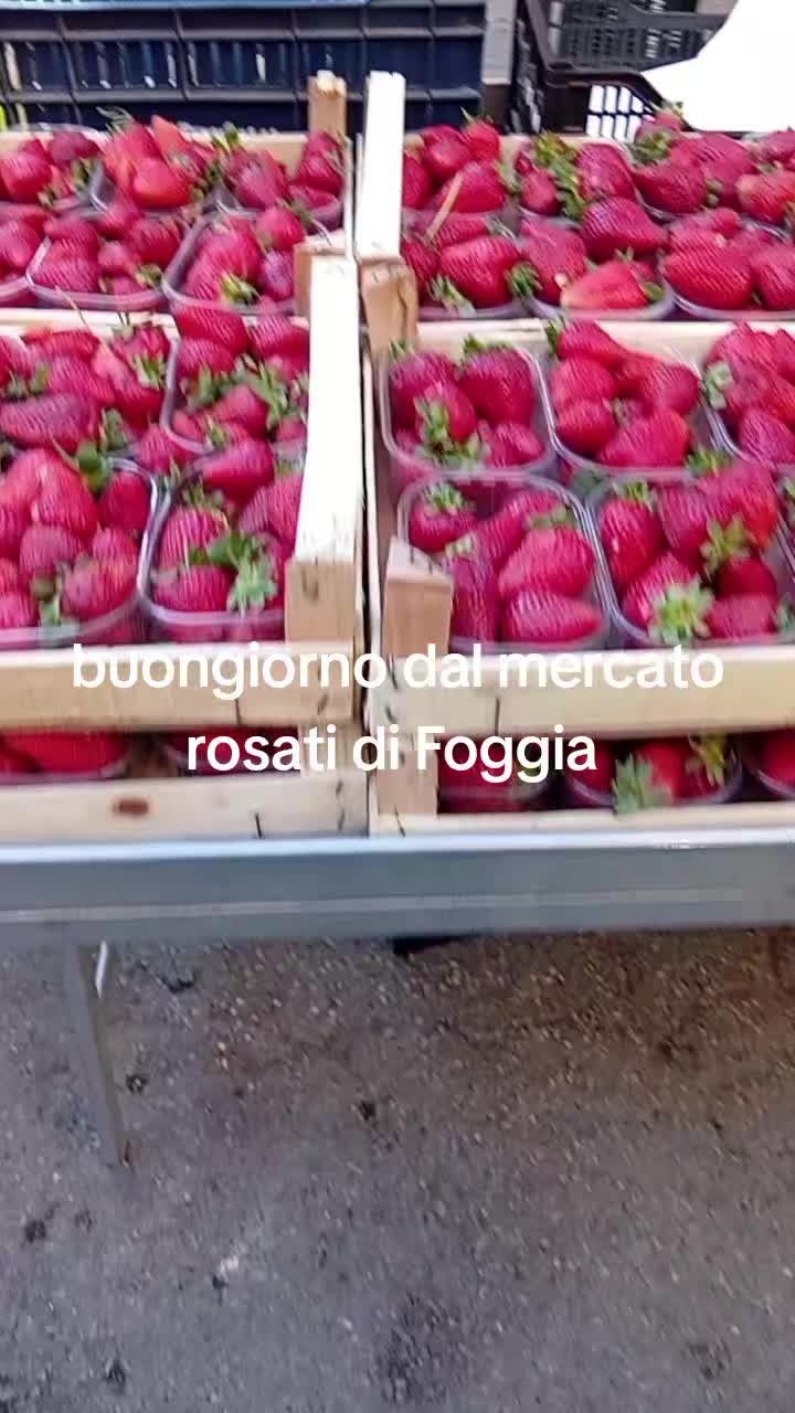 @mariodantonio7
