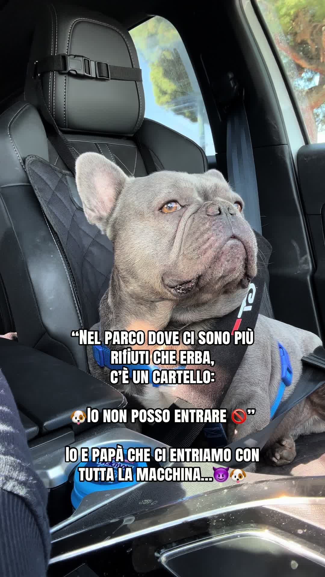 @𝐴𝑛𝑑𝑟𝑒𝑎 𝑒 𝐶𝑖𝑐𝑐𝑖𝑜🧸
