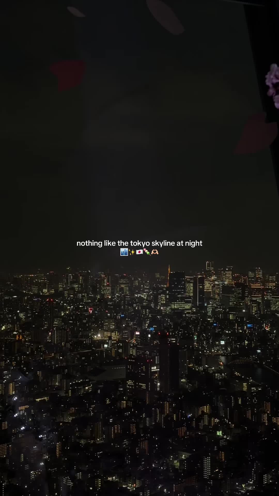 @erin 🌍🛩️🌈✨