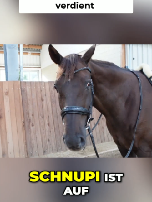 @Matthes Röckener