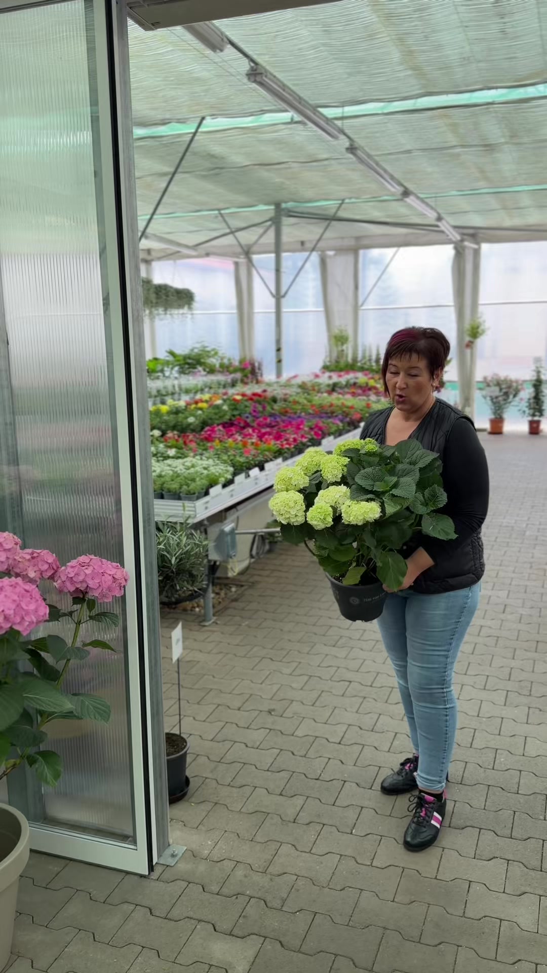 @FLORALAND-KFT