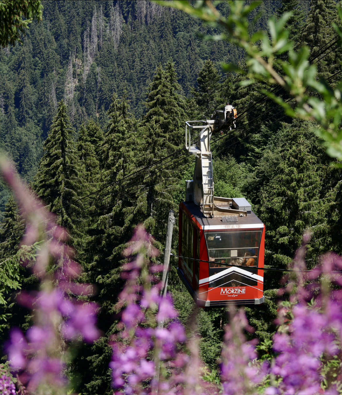 @Seilbahnen_Ropeways