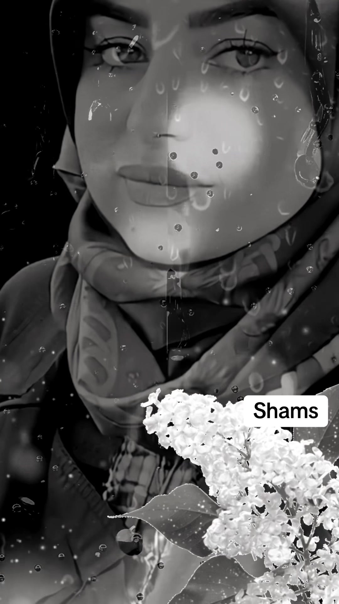 @Shams
