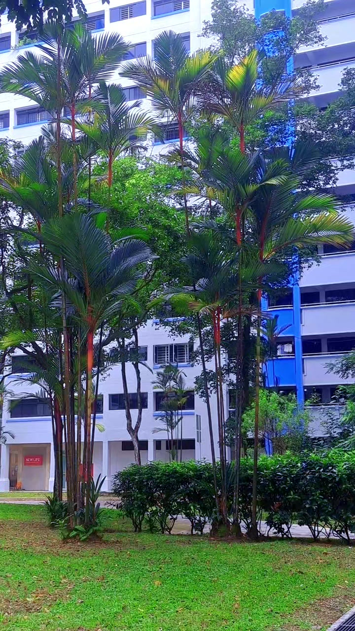 @user gunaraj raj