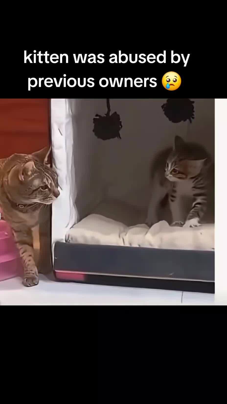 @funnyg149