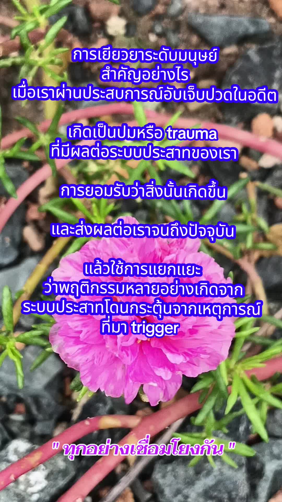 @Inner Wisdom8